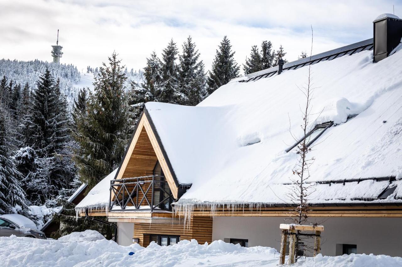 Ski Chalet Klinovec Loučná pod Klínovcem Extérieur photo