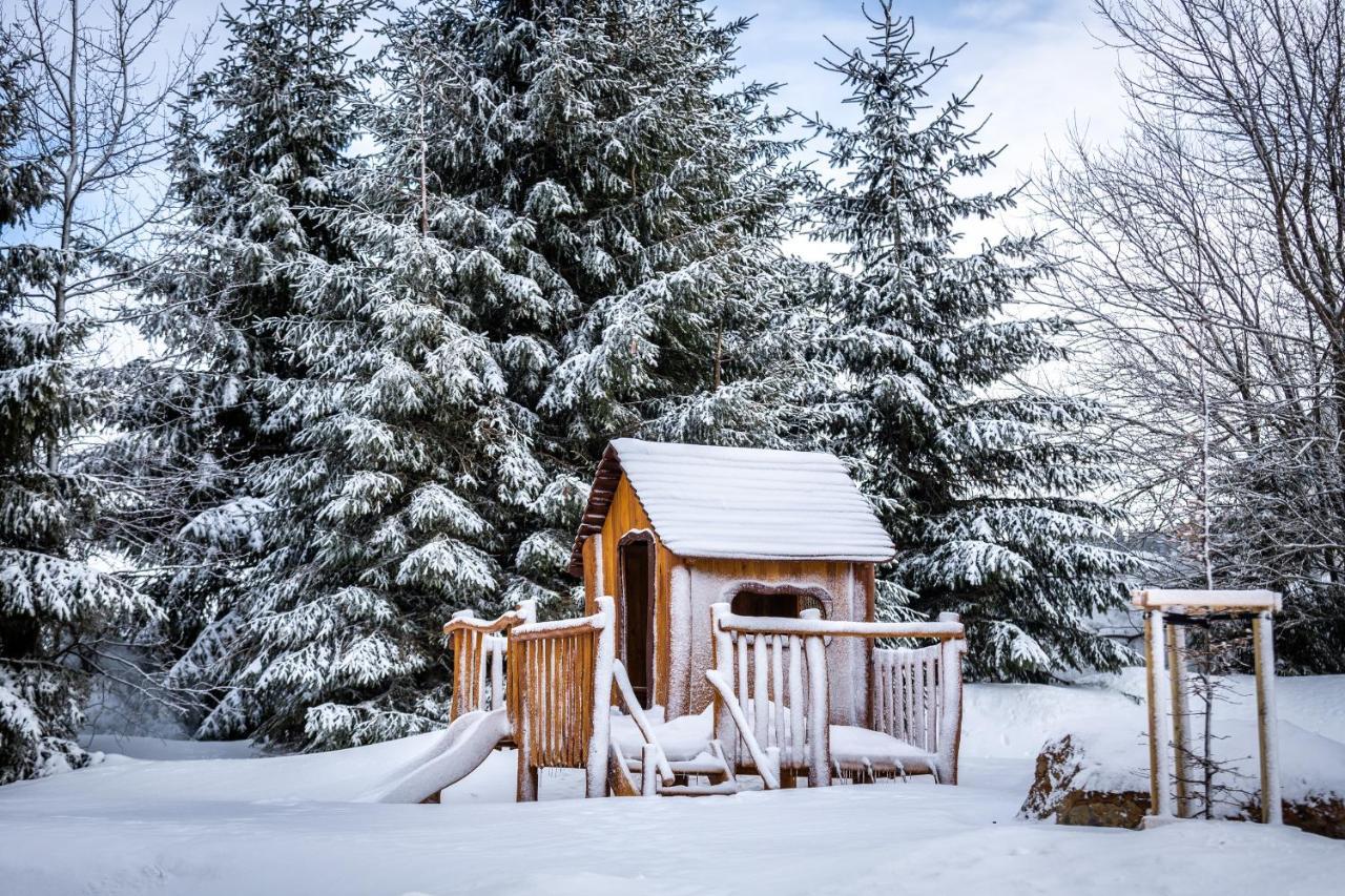 Ski Chalet Klinovec Loučná pod Klínovcem Extérieur photo