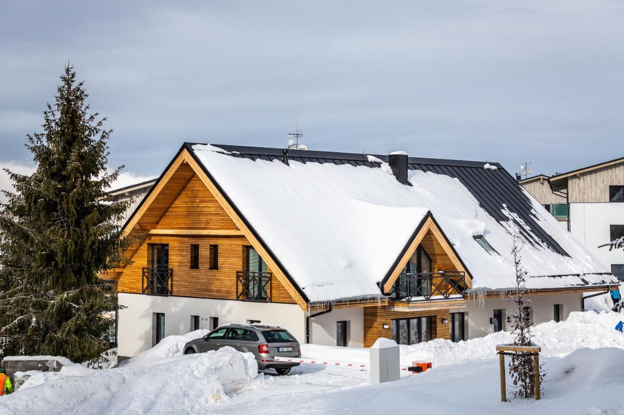 Ski Chalet Klinovec Loučná pod Klínovcem Extérieur photo