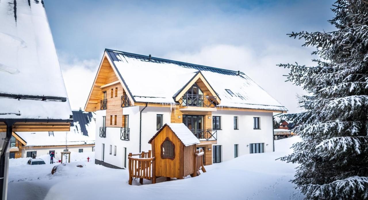 Ski Chalet Klinovec Loučná pod Klínovcem Extérieur photo
