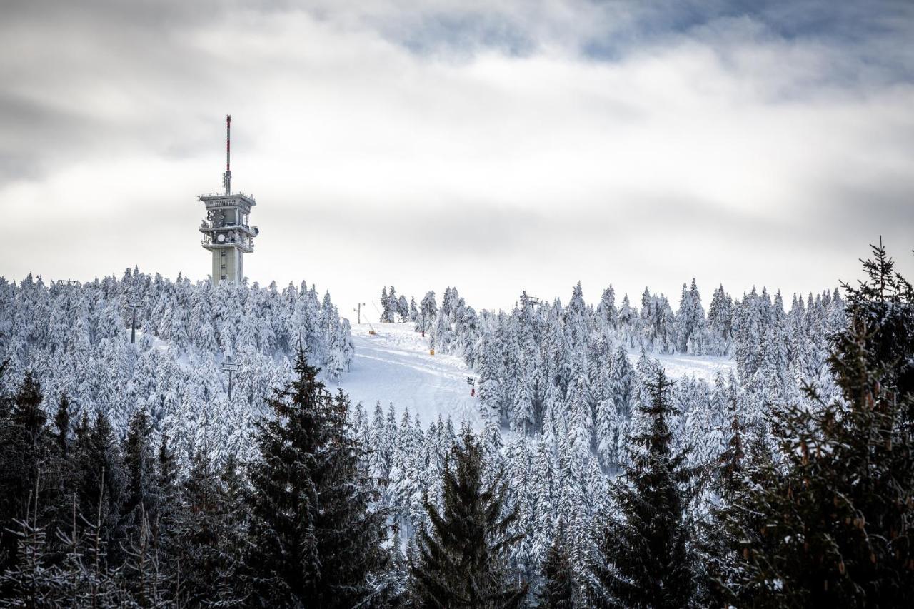 Ski Chalet Klinovec Loučná pod Klínovcem Extérieur photo
