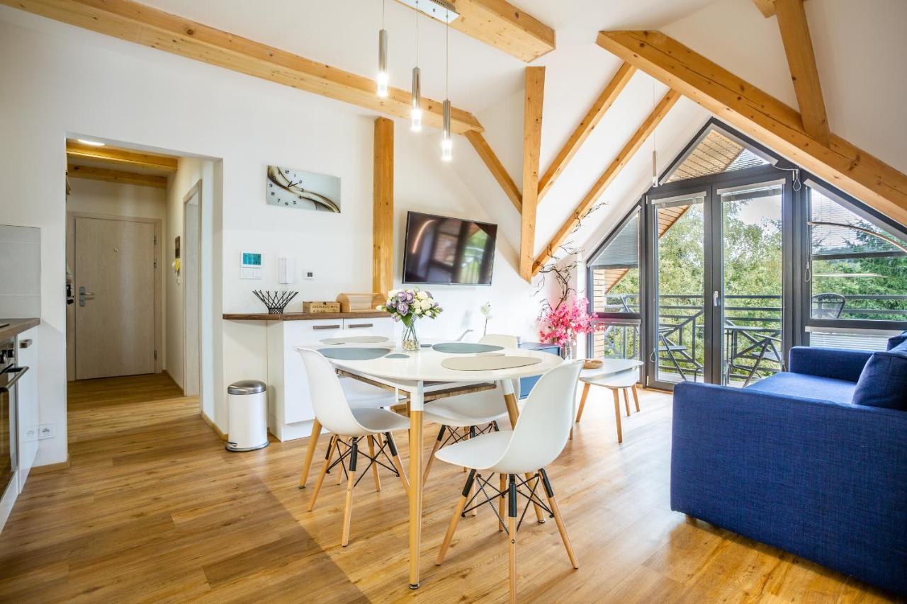 Ski Chalet Klinovec Loučná pod Klínovcem Extérieur photo