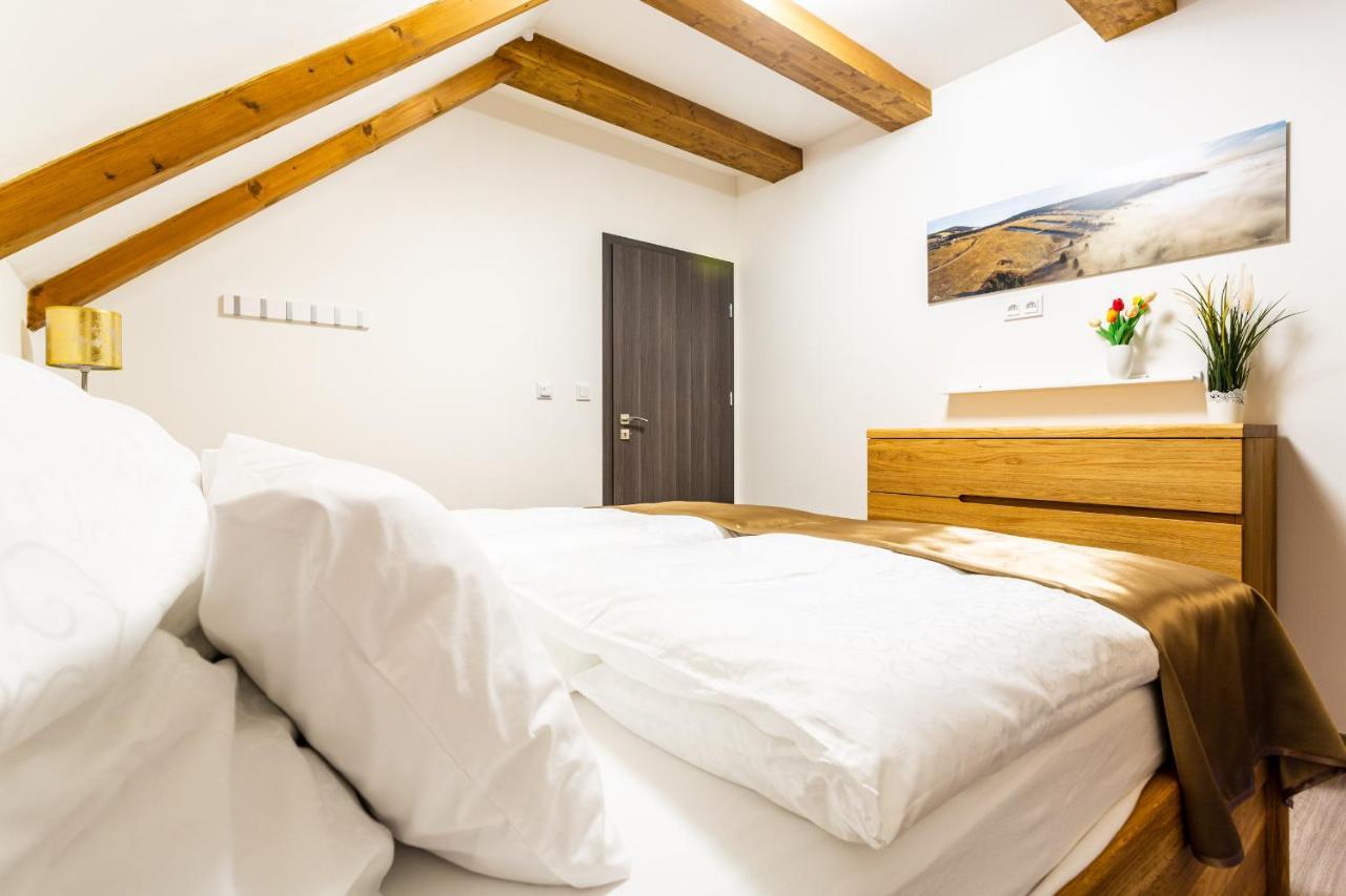 Ski Chalet Klinovec Loučná pod Klínovcem Extérieur photo